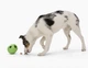 Игрушка для собак West Paw Rumbl Large Eggplant, для лакомств, фиолетовая, 10 см - изображение 4