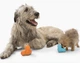 Игрушка для собак West Paw Tux Large Tangerine, 13 см - изображение 4