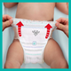 Підгузки-трусики Pampers Premium Care Pants Maxi 9-15 кг 58 шт (8001090759993) - зображення 6