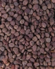 Sucha karma dla kotów Carnilove True Fresh Cat Ryba 4.8 kg (8595602561438) - obraz 5