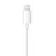 Наушники с микрофоном для Apple iPhone with Lightning проводные - изображение 4