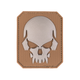 Нашивка на липучці Sturm Mil-Tec Skull Patch PVC 3D (Large) Dark Coyote (16832119) - зображення 1