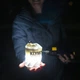 Ліхтар портативний туристичний Klymit Everglow Light Tube Multi (17EVGR01C-46 см х 8 см) - зображення 3