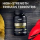 Добавка для повышения тестостерона VPlab Tribulus Terrestris 90 капсул - изображение 2