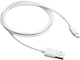 Kabel Canyon UC-1 USB - USB-C 5W 1m Biały (CNE-USBC1W) - obraz 1