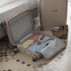 Валіза Gabol Kiba (S) Beige (122022-006) - изображение 14