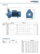 Pedrollo CP 220A Відцентровий Насос (27 м³, 49 м, 4 кВт) - зображення 4