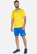 Футболка футбольная Zeus SHIRT MIDA GI/RO желтая S Z01306 - изображение 1