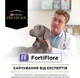 Пробиотик для взрослых собак и щенков Purina Pro Plan FortiFlora для здорового пищеварения и укрепления иммунитета 30 х 1 г (7613036680820_8445290041074) - изображение 8