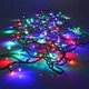 Гірлянда лінза 100 LED RGB RD-103 (103RDGRLNDC27) (103RDGRLNDC27) CLS55 - зображення 1