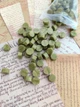 Сургуч для скрапбукінгу Deep Green Matte, сургуч для рукоділля, віск для сургучного друку Зелений Перламутровий Panalisa (67590101) - зображення 1