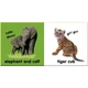 DK Baby Touch and Feel Wild Animals. Dorling Kindersley. ISBN:9781405341226 - изображение 2