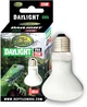 Нагрівальна лампа денного світла Reptile Nova UVA Daylight 25 Вт (UVA-25W-DAYLIGHT) - зображення 1