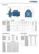 Pedrollo 2CPm 25/16B Відцентровий Насос (8,4 м³, 58 м, 1,5 кВт) - зображення 4