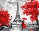 Картина по номерам Дождливый Париж (КНО4819) - изображение 1