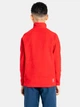 Подростковый теплый свитшот для мальчика Dare 2b Freehand Fleece DKA357-32M 153-158 см Красный (5059404780723) - изображение 2
