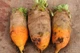 Семена Свекла корм. Эккендорфская, 20 г (GL Seeds) - изображение 4