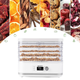 Сушилка для овощей, фруктов, грибов Maltec DryExpert450W Белая - изображение 5