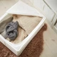 Тумба для постільної білизни IKEA SKUBB N 44 x 55 x 19 см Біла (30290362) - зображення 2