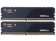 Оперативная память DDR5 32 Gb (6000 MHz) (Kit 16 Gb x 2) G.SKILL Flare X5 (F5-6000J3238F16GX2-FX5) - изображение 1