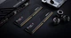Оперативная память DDR5 32 Gb (6000 MHz) (Kit 16 Gb x 2) G.SKILL Flare X5 (F5-6000J3238F16GX2-FX5) - изображение 5