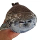 Плюшевая мягкая игрушка Тюлень Seal (20 см) тренды TikTok декор для детской комнаты подарок на день рождения - изображение 10