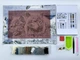 Алмазная мозаика ColorArt 20х30 Пара волков DT715 - изображение 2