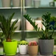 Горшок для цветов FormPlastic Toscana Krugla-19 4,4 л оливковый (0744-008) - изображение 2