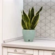 Горшок для цветов DECO TWIN PLUS с картриджем 5,8 л нефрит - изображение 2