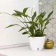 Горшок для цветов DECO TWIN PLUS с картриджем 5,8 л белый - изображение 3