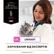 Вологий корм для котів Pro Plan Veterinary Diets UR Urinary 85 г - курка - изображение 8