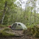 Палатка Grand Canyon Apex 1 Capulet Olive (330001) (DAS301587) - изображение 9