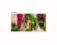 Наклейка на стіл Зелені вулиці Провансу (ПВХ плівка самоклеюча для меблів) Архітектура Бежевий 60х120см - зображення 3