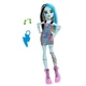 Лялька Monster High Моя монстро-подружка Френкі Стайн (HRC12/HKY76) (10-585065) - зображення 2