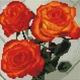 Алмазная мозаика ColorArt 20х20 Букет роз DD1206 - изображение 2