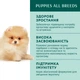 Влажный корм пауч Optimeal (Оптимил) для щенков и юниоров с индейкой и морковью, 100 г - изображение 3