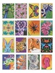 Книга Цветной квест. ЗооДива (на украинском языке) - изображение 2