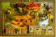 Настольная игра FeelIndigo Каменный век (Stone Age) - изображение 5