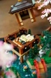 Lego Creator Expert Тихий садок 10315 - зображення 7