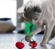 Игрушка для кошек Petstages Дентал Вишня (pt67833) - изображение 3
