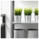 Штучне рослина в горщику ikea fejka 9 см (004.339.42) - зображення 3