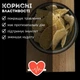 Імбир сушений із цукром 100% натуральний 500 г Natural Ginger (GinA-R-500) - зображення 2