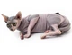 Попона комбинезон после стерилизации операции для кошек и котов Style Pets M - изображение 4