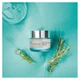 Обновляющий реактивирующий крем для лица Amway Artistry Skin Nutrition (50 гр) - изображение 2