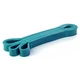 Резиновая петля для тренировки Newt Pro Loop Bands 5-14 кг бирюзовая NE-B-452-5-14B - изображение 1