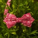 Бабочка Bow Tie House Basic розовая с узором 05743 - изображение 1