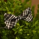 Метелик Bow Tie House Basic стриманий в чорно-білу клітинку 05881 - зображення 2