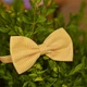 Бабочка Bow Tie House Basic оранжевая в мелкий оранжевый горошек 05697 - изображение 2
