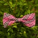 Метелик Bow Tie House Basic рожевий в клітинку з смужкою 05879 - зображення 1