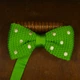 Бабочка Bow Tie House Basic вязаная зеленая в белый горошек 05763 - изображение 3